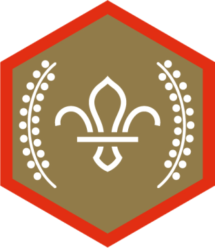 Chief Scout’s Gold Award