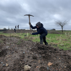 Pupils in Levenmouth beaver away to tackle climate change through the John Muir Award