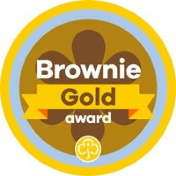 Brownie Gold Award