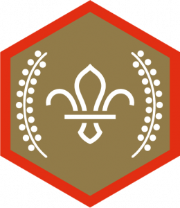 Chief Scout’s Gold Award