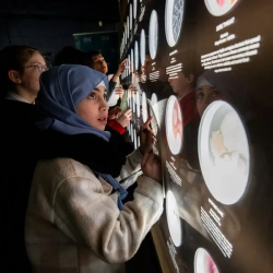 RSE’s Vision for Education & Skills in 2050
