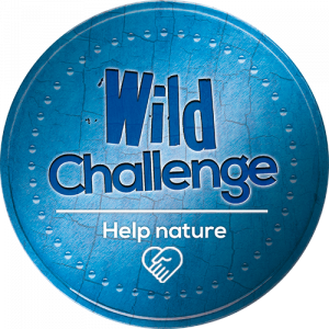 Wild Challenge Award