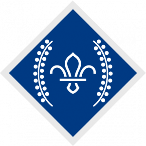 Chief Scout’s Diamond Award