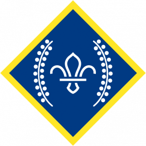 Chief Scout’s Platinum Award