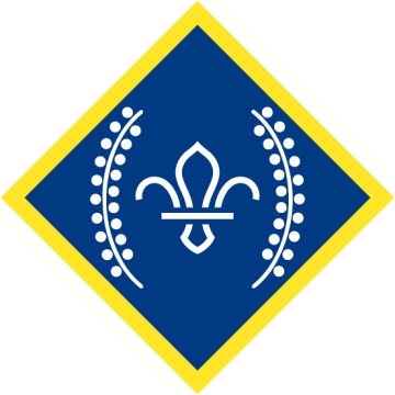 Chief Scout’s Platinum Award